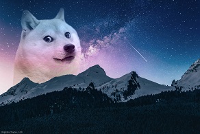 mountain doge