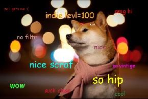 scarf doge