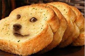 bread doge