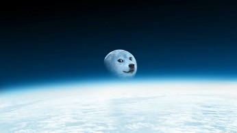 moondoge